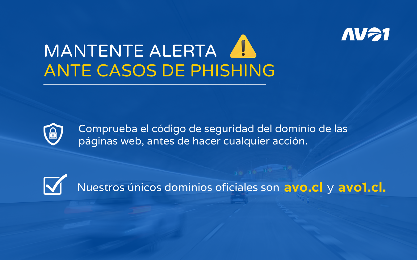 AVO SEGURIDAD
